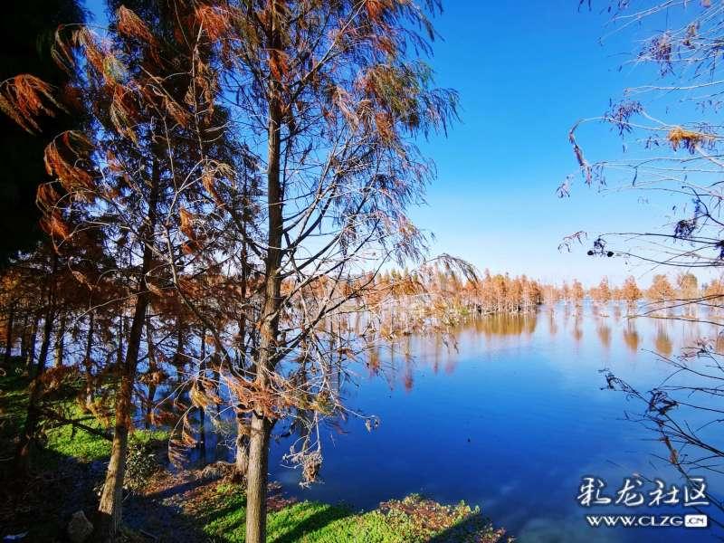 湘鄂边八个区县年货 到桑植“串门”